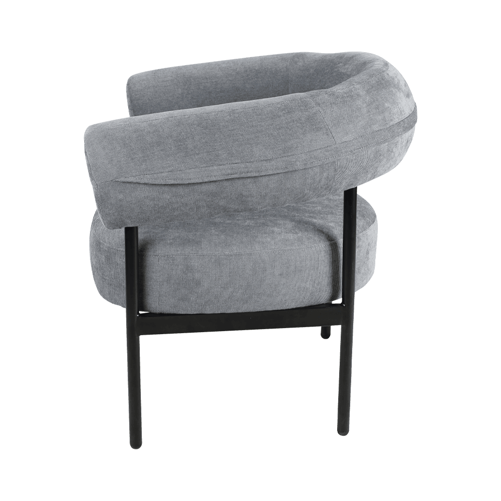 Gray Metal Frame Lounge Chair