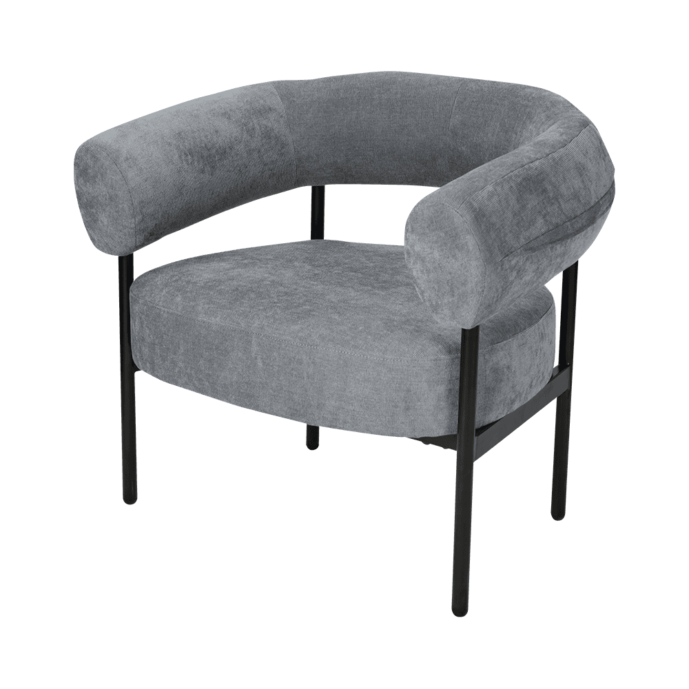Gray Metal Frame Lounge Chair